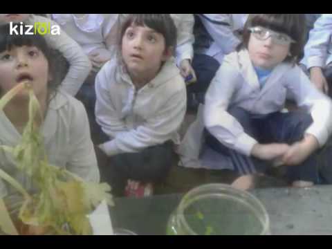 Laboratorio 1° grado B