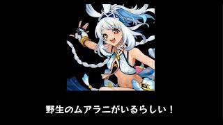 シグウィン大好き原神攻略TV スネージナヤ予告番組直前SP