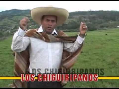 LOS CHIGUIRIPANOS - LOCAS Y COQUETAS