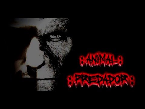 Animal Predador  -  T-JAY DESTRUIDOR