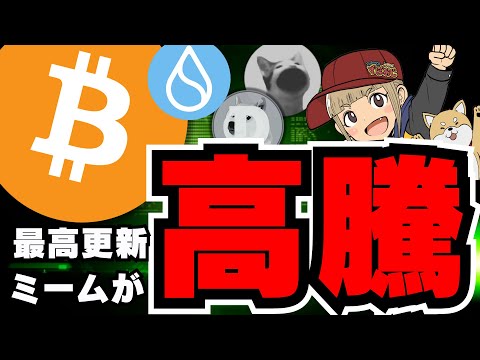 仮想通貨市場が動揺: なぜビットコイン&カンパニーの価値が下落しているのか