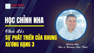[Học chỉnh nha] - Sự phát triển của khung xương hạng 3. Giảng dạy bác sĩ Hoàng Đức Thái.