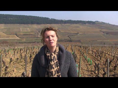 download lagu mp3 mp4 Fanny Sabre Bourgogne Rouge, download lagu Fanny Sabre Bourgogne Rouge gratis, unduh video klip Fanny Sabre Bourgogne Rouge
