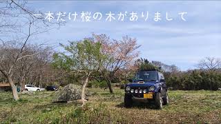 パジェロミニと桜の木の下でキャンプ