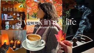 how to get things done while feeling low energy | Week in My Life 🍁