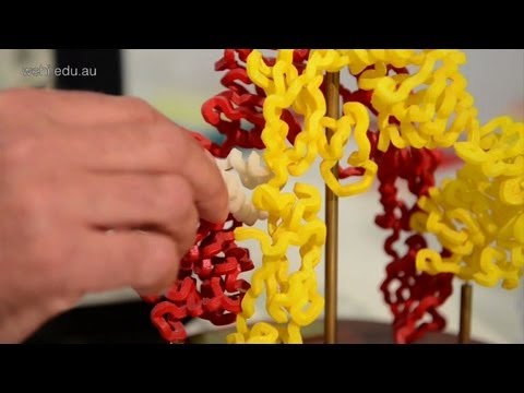 Nehmen einen Tee für Diabetes Wie zu wissen, ob, ob Diabetes