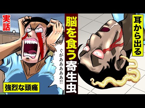 突然の激しい頭痛に注意 寄生虫に脳を食べられた男の末路が怖すぎる Youyaak ユーヤーク 人気動画の最新まとめ情報をお届け