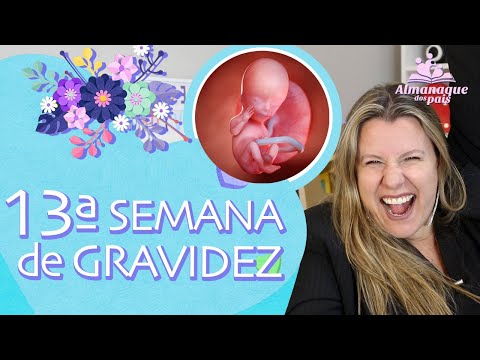 13ª SEMANA DE GESTAÇÃO |SEXO DO BEBÊ, Tamanho do Feto e da Barriga | 2º TRIMESTRE DE GRAVIDEZ