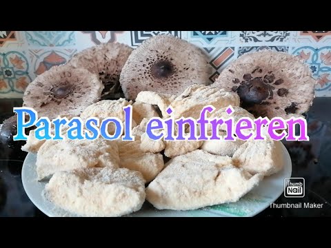 Parasole zubereiten und einfrieren