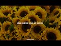 Flores Amarillas – Floricienta // (Letra)