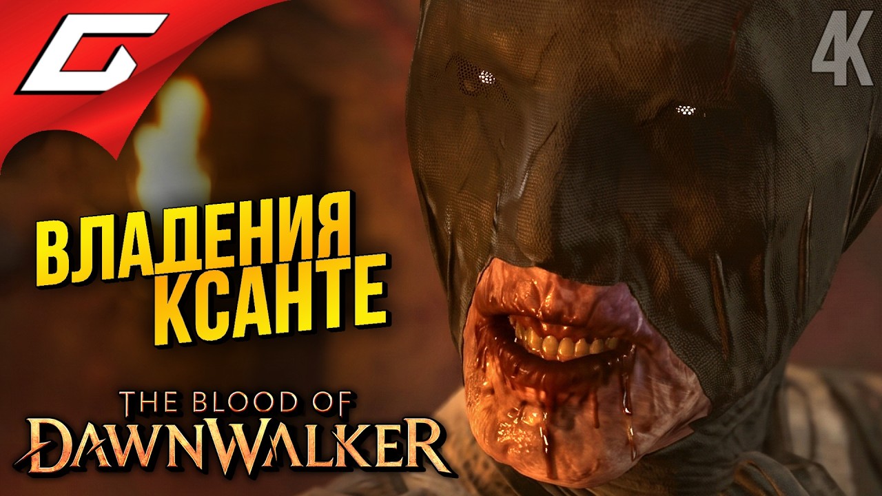 БЕСИМ СТАРУХУ ➤ The Blood of Dawnwalker ◉ Прохождение 15