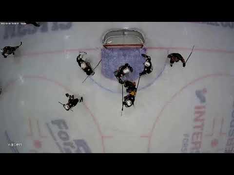 Mestis   viikkokirje 9