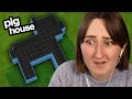 can i turn this PIG SHELL into a normal looking house?!