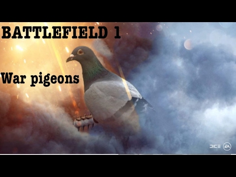 battlefield 1 war pigeons gameplay & reactions!| battlefield 1 pigeon mode