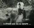 Patrasche A Dog Of Flanders DOCUMENTARY フランダースの犬 Furandâsu