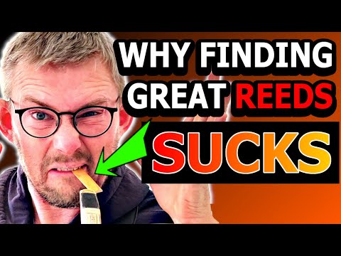 Saxophone Reeds -How to Choose the Right Reed