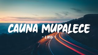 Download lagu cauna mupalece | lirik | Voc. wiwi anjani | lagu bugis viral tiktok mp3