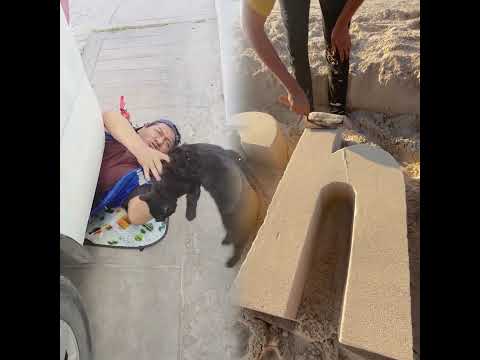 LA GATA #comedia #humor