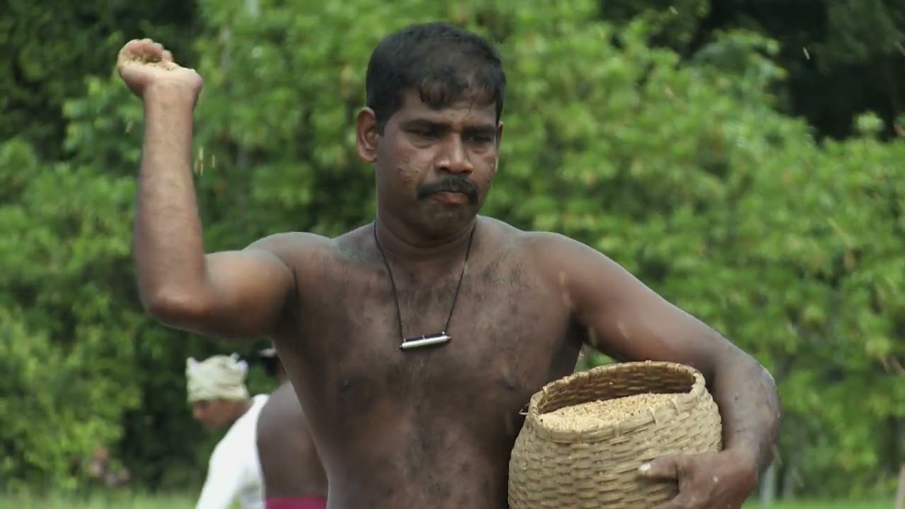 Western Province Documentary