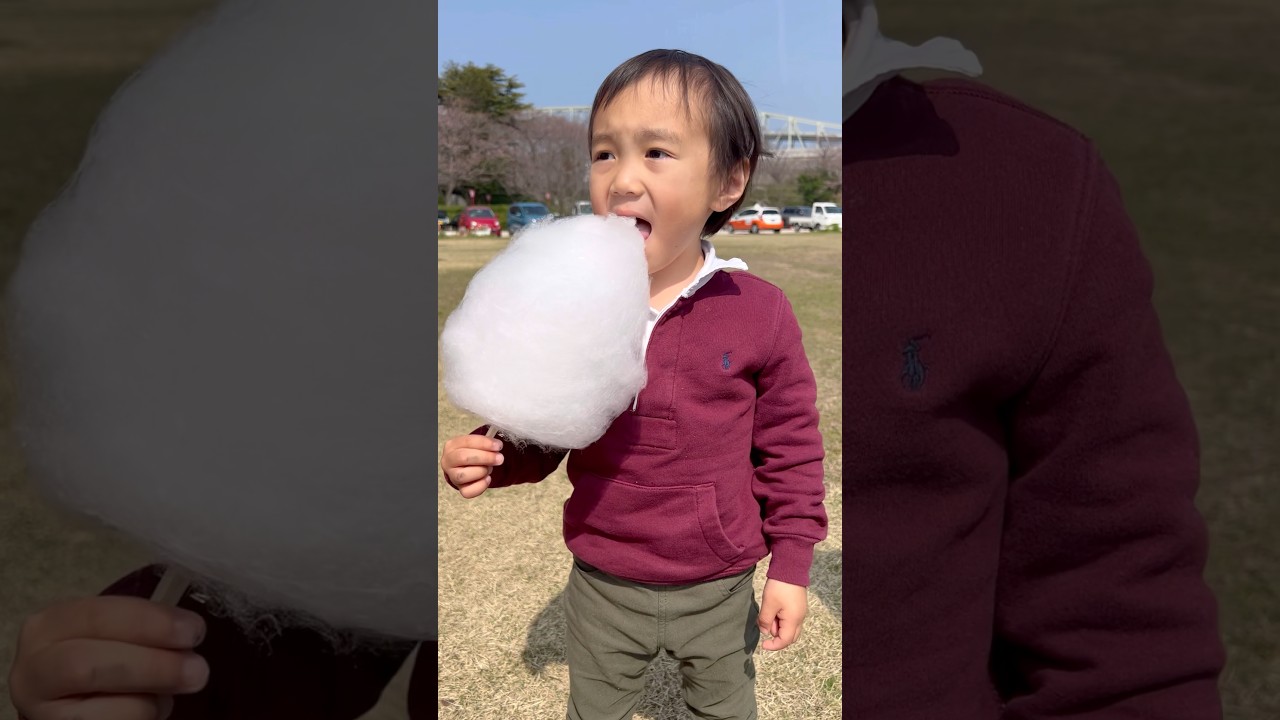人生で初めて綿菓子を食べてみた感想はこちらです。【4歳7ヶ月】/Trying cotton candy for the first time!#shorts