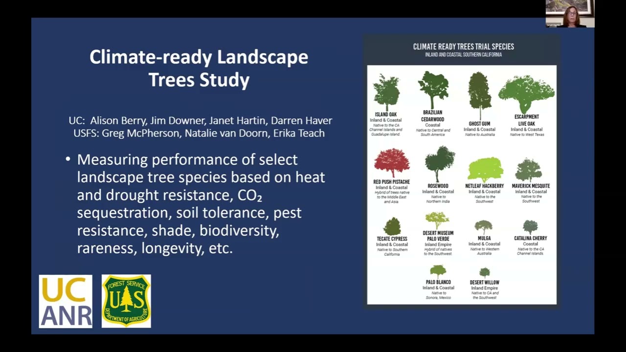 ‘Trees for Tomorrow Start Today’ Climate-Ready Trees Update