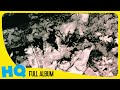 CAMOUFLAGE VOICES IMAGES 1988 FULL ALBUM
