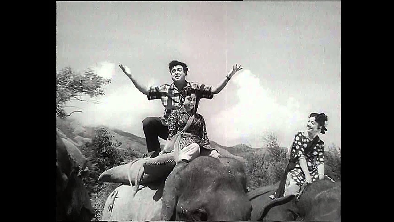 Kathal Enbathu Song Lyrics | Paadha Kaanikkai | P. B. Sreenivas, J. P. Chandrababu