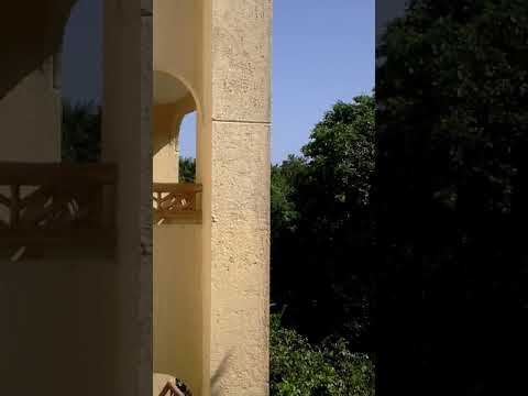 Videos del Catalonia Royal Tulum Beach Spa Resort 5★ en Xpu-Ha, MéxicoVer MásVerPrecios20CerrarConsulta por Whatsapp 🇦🇷BookingTripadvisorExpediaAgodaTravelocityOrbitzPricelineTripSkyscannerDespegarKayakHotelesBestdayDestiniaTrivagoTurismocityLastminuteHotwireCheapticketsTui