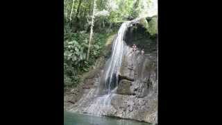 preview picture of video 'Gozalandia Waterfall Cliff Jump/Dive + Directions (Puerto Rico)'