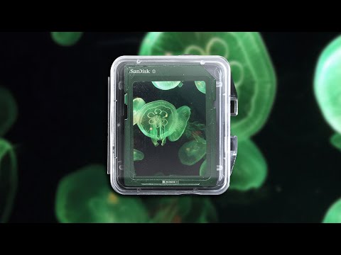 [FREE] Hamza x Khali x Josman Type Beat - "Canyon" | Trap Guitar Type Beat 2020