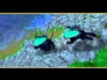 Skills To Pay The Bills Mouz MightyX Warcraft 3 Skill Movie