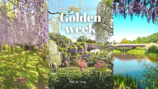 Golden week in Japan| Day trip to Hakone, museums, Ashikaga flower park, TeamLab |Tokyo Vlog