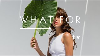 "Tropical disco moves"