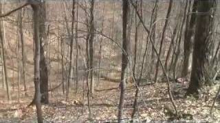 preview picture of video 'Knobstone Trail Thru Hike - 3/25/11-3/27/11'