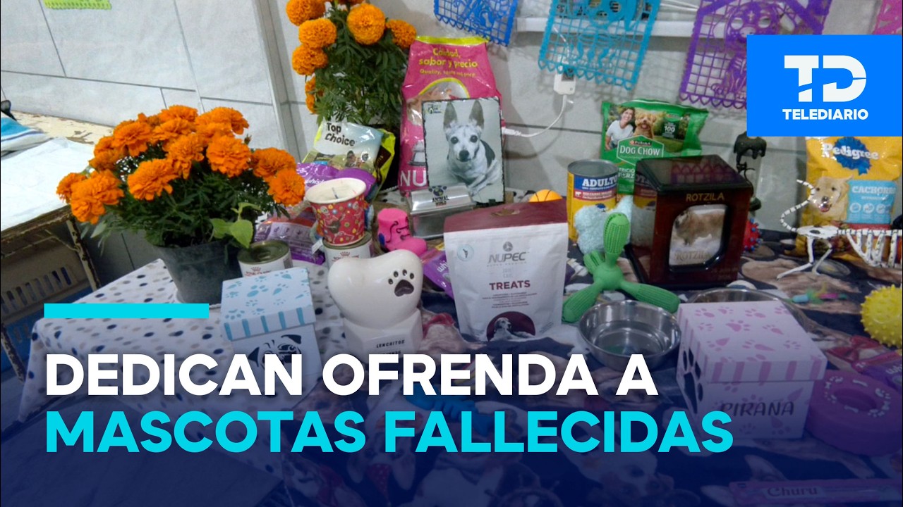 Protección Animal Nitin México dedica una ofrenda a las mascotas que ya partieron