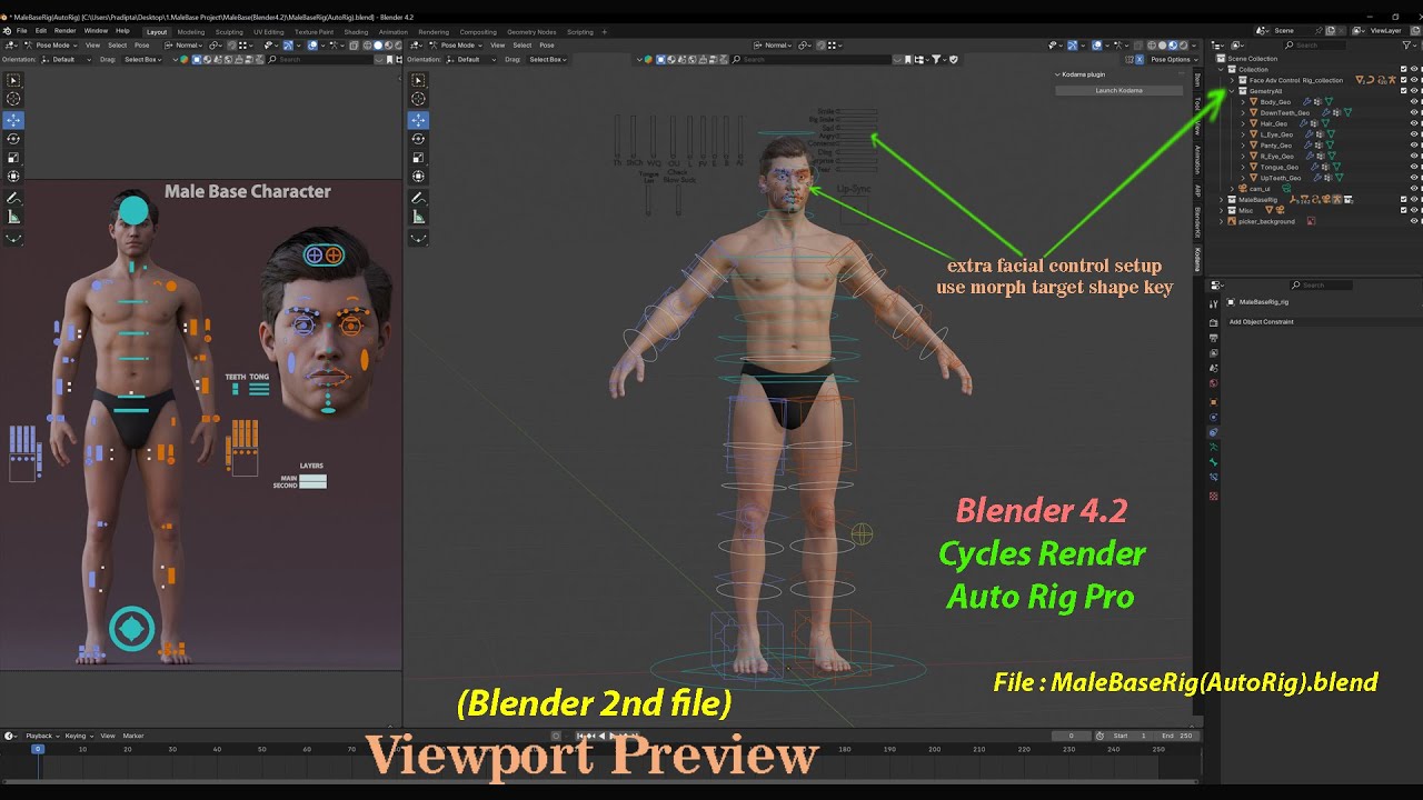 Male Base Rig 3D Model
