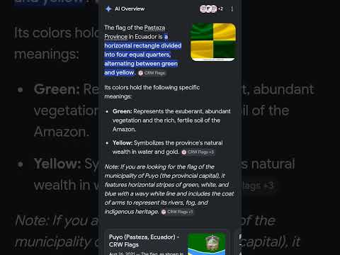 Fixing the flag of Pastaza #flag #flags #ecuador