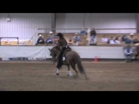 Shelby Mitchell & Chic To A Lady