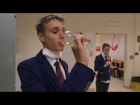 ORIENTAMENTO ALBERGHIERO PAIRE _ BARGE