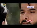 Yeh Pyar Bada Bedardi Hai Eagle Gold Jhankar Song