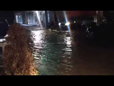 Shiu i pazakont ne Raince