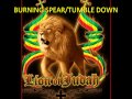 BURNING SPEAR/TUMBLE DOWN