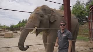 Behind the Scenes: A Day in the Life of Deane, Animal Trainer at Sydney Zoo!