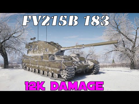 My damage record on FV215B 183