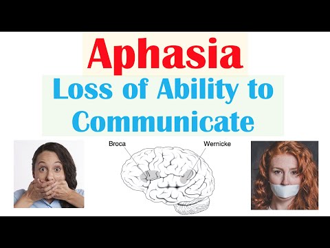 Aphasia | Types (Broca’s, Wernicke’s, Global), Causes, Signs & Symptoms, Diagnosis, Treatment