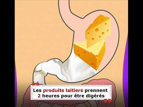 Temps de digestion des aliments : fruit, viande, legume, matière grace