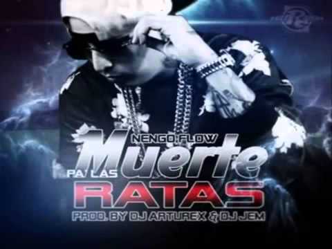 MUERTE PA LAS RATAS ÑENGO FLOW