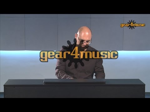 DP-10plus Digital Piano by Gear4music