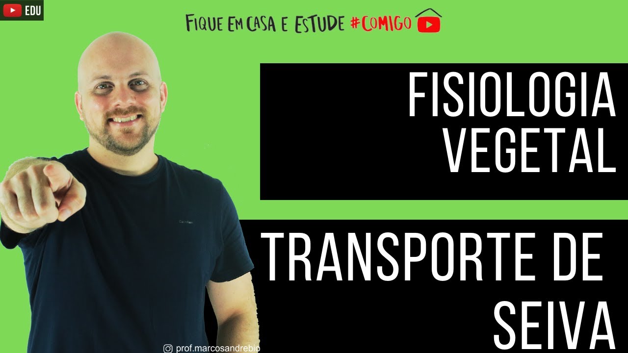 BOTÂNICA | TRANSPORTE DE SEIVA - FUNÇÕES DO XILEMA E FLOEMA