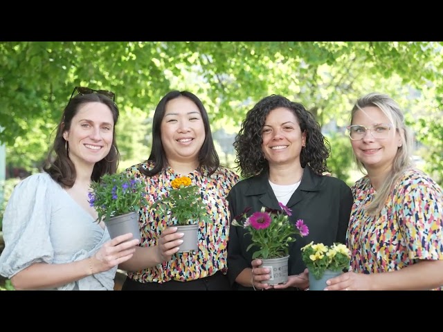 Youtube Video Youtube Video